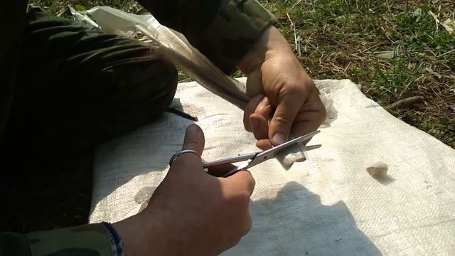 Прививка абрикоса на алычу. смотреть онлайн