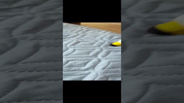 СКИБИДИ звери захватили мир 19 смотреть онлайн