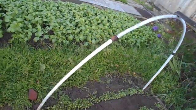 Парник под пленку укрывное из пластиковых труб. для. рассады смотреть онлайн