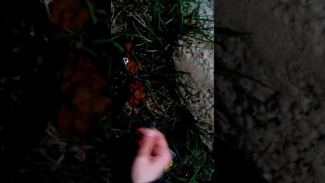 Что делать когда нечем заняться смотреть онлайн