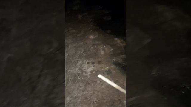 30.11.2023 Управляшка врёт, что всё отремонтировано. смотреть онлайн