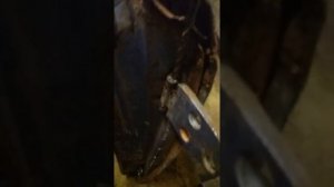 Как заменить пальчики с передних дверей ваз класики