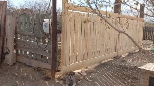Забор из горбыля в установленном  виде своими руками.