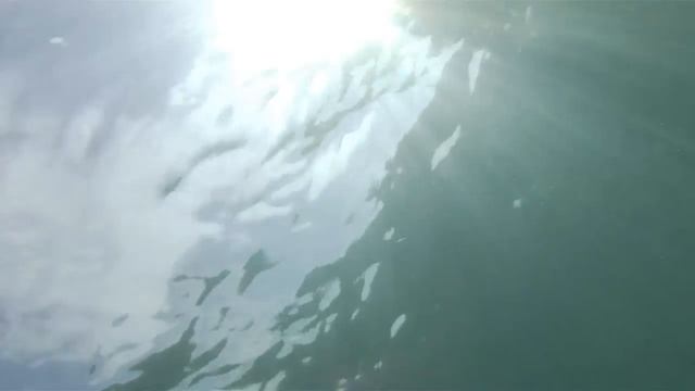 Contour in the Black Sea смотреть онлайн