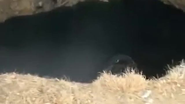 черный джамп. роупджампинг несчастные случаи часть первая смотреть онлайн