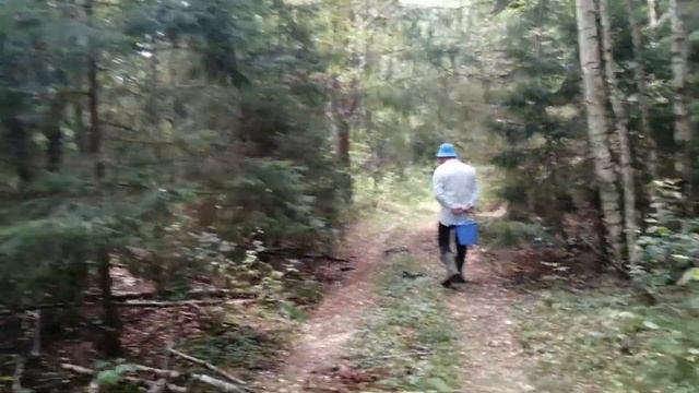 Деревня. Ходили в лес за грибами. Жарим картошку и грибы. Часть 2 смотреть онлайн