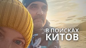 Путь во льдах