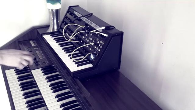 Korg MS 20 Synthesizer + Electric Organ + Strymon Timeline