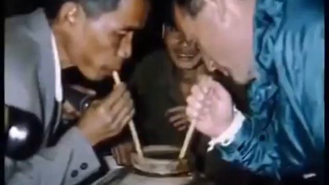 Животный мир, Лесная жизнь дикой кошки Ягуара сильный страшный хищник смотреть онлайн