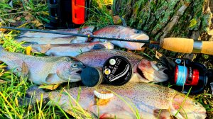 МАГОТ ЛОВИТ ФОРЕЛЬ ТОЛЬКО ЗАКИНЬ Ловля форели на спиннинг осенью.mp4