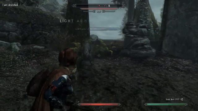 SkyrimSE Immersive Animations Test