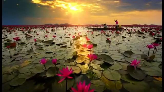 Таиланд. Тур на о. Самуи