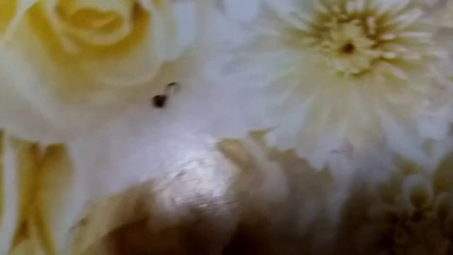 Обзор на зимнии удочки смотреть онлайн