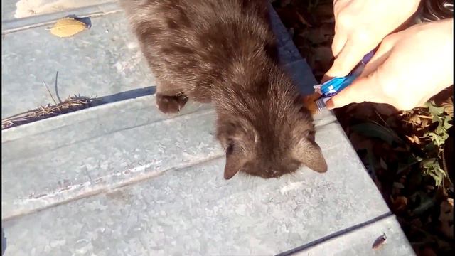 Прогулка по городу Калининску (2 часть) смотреть онлайн