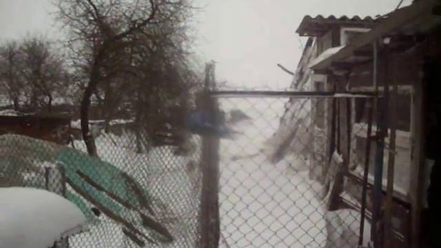 Ловушка на лису (живоловушка) смотреть онлайн