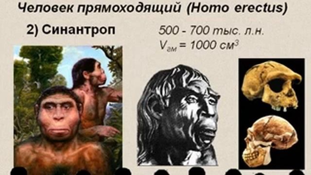 Эволюция человека.AVI смотреть онлайн