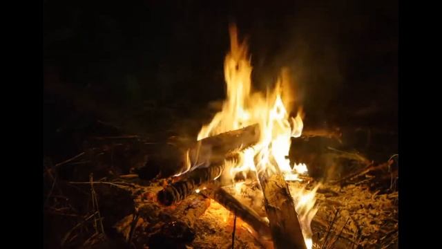 Эдуард Асадов "Как много тех, с кем можно лечь в постель..." Моё Хобби))Читаю я, Елена Кедми)) смотреть онлайн