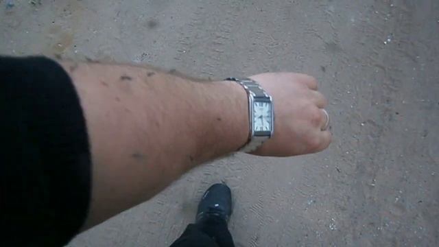 Комары в г.Павловск Воронежская обл. смотреть онлайн
