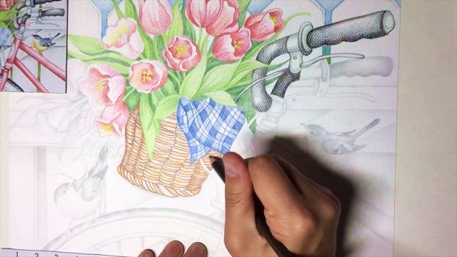 «Птица. Dimensions Дименшнс -2» ?КАРАНДАШИ | Сезон 1-9 |Мастер-класс для начинающих смотреть онлайн