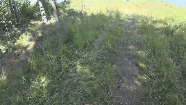Поездка на рыбалку, дорога на Долгобродское водохранилище, изба в лесу. смотреть онлайн