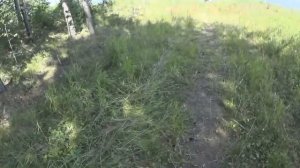 Поездка на рыбалку, дорога на Долгобродское водохранилище, изба в лесу.