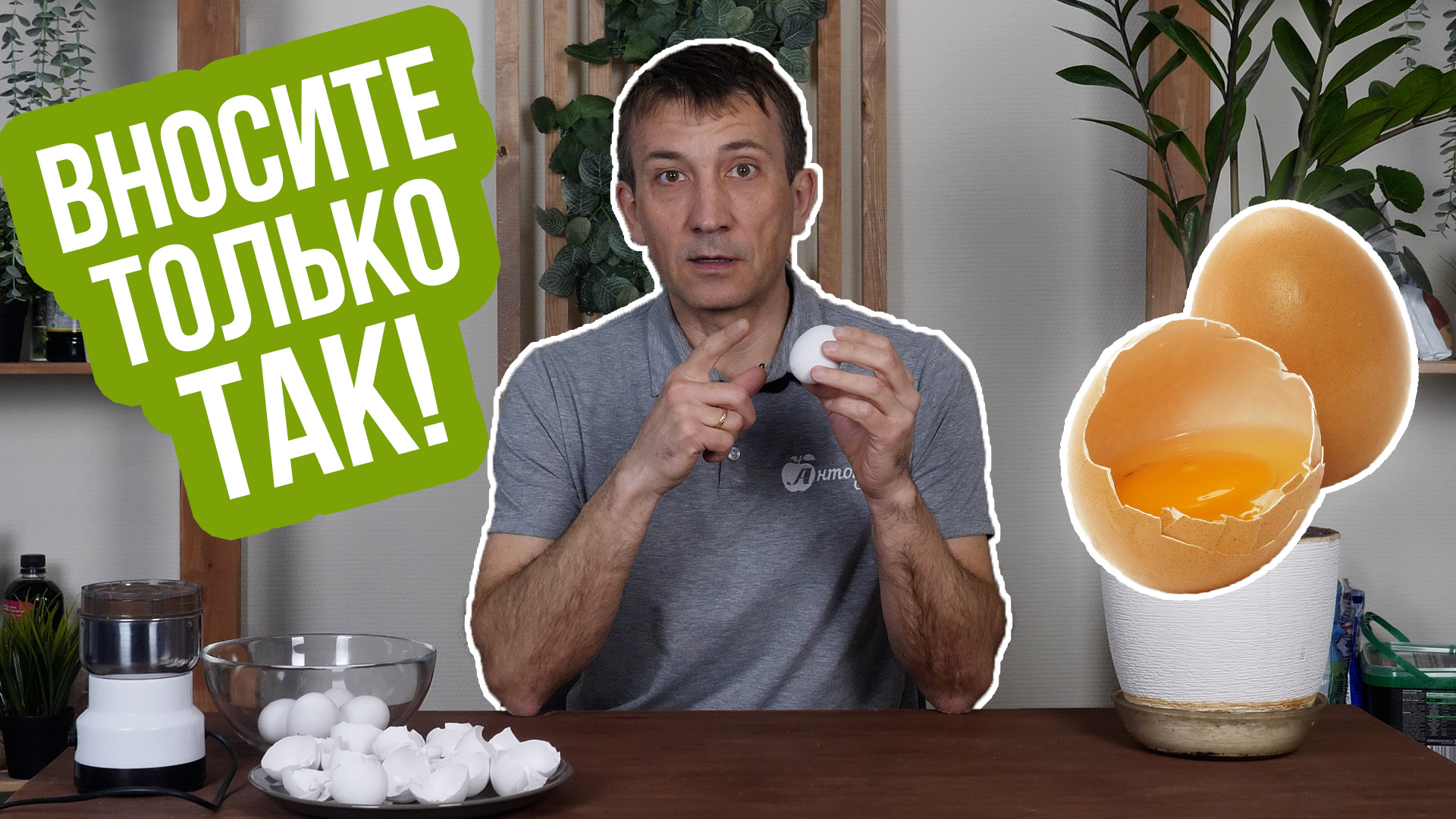 Яичная скорлупа на огороде. ТОП-3 рецепта! смотреть онлайн