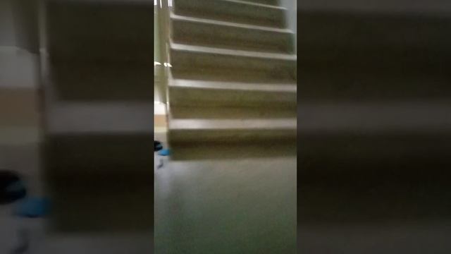 у нас в доме завёлся н@рком@н!?!???? смотреть онлайн