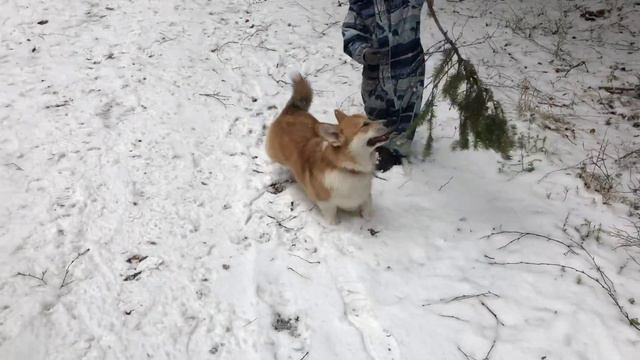 1 день ВЕСНЫ в зубрятнике 01 03 2020 смотреть онлайн