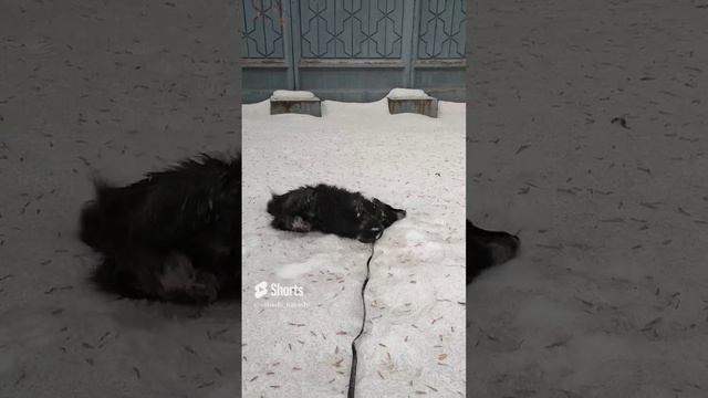 Развлечения эстетов