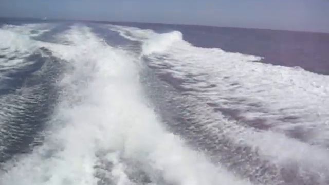 Twin D6 370 DPR NO смотреть онлайн