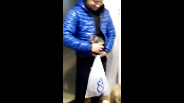 Vlada встречает пушистое счастье. Принесли котенка домой смотреть онлайн