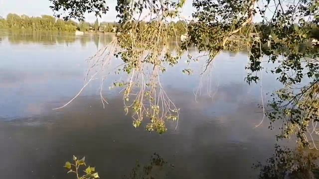 Река Бия. А вода то прибывает. смотреть онлайн