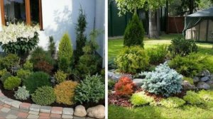 48 идей КАК ИСПОЛЬЗОВАТЬ ХВОЙНИКИ В ЛАНДШАФТНОМ ДИЗАЙНЕ