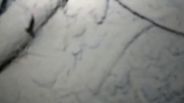 Сталк. Таллинн (вольта) смотреть онлайн