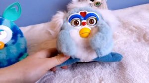 My new furby fake Mowgwai, furby original 1998 and furby boom ( review)