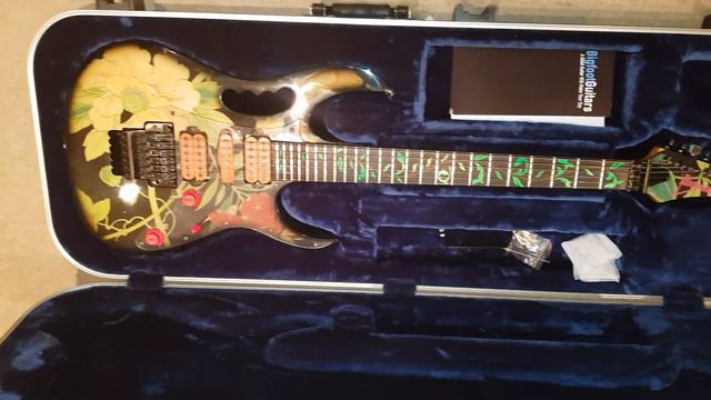 1989 Ibanez jem floral смотреть онлайн