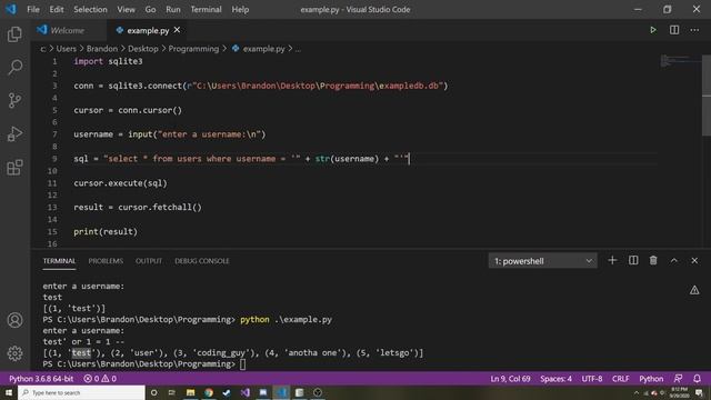 How to Use Parameters in a SQLite SQL Statement in Python SQLite3 Tutorial in Python смотреть онлайн