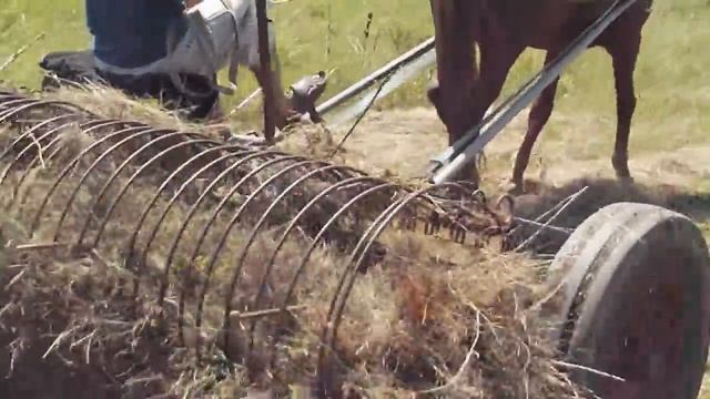 покос сена лошадью 2 смотреть онлайн