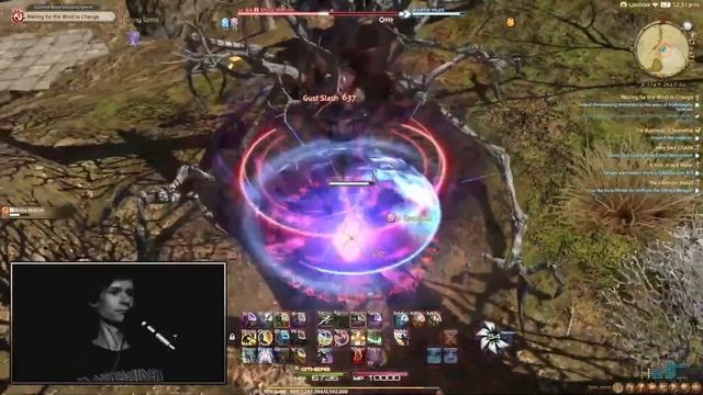 Почему Final Fantasy XIV особенное MMO?