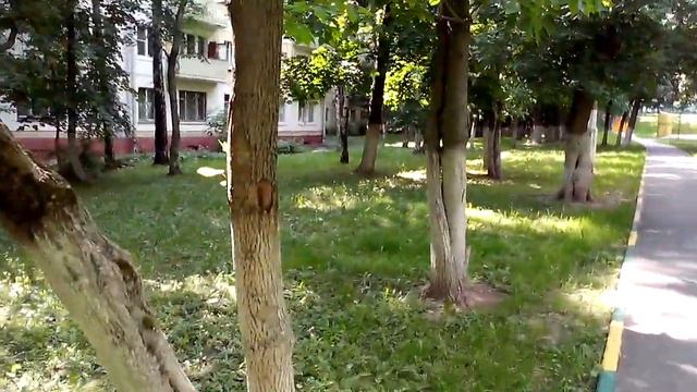 Камера Alcatel One Touch Idol (camera test): пример видео в HD, 720p смотреть онлайн