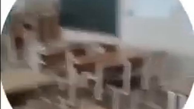 СТРЕЛЬБА В ИЖЕВСКЕ ПЕРВЫЕ МИНУТЫ смотреть онлайн