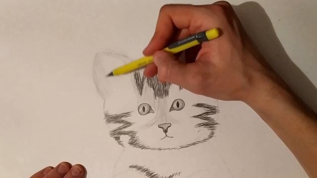 Рисуем кота карандашом. Draw a cat with a pencil. смотреть онлайн