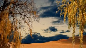 ФУТАЖ ОСЕННИЙ ЖУРАВЛИ УЛЕТЕЛИ futag guravli