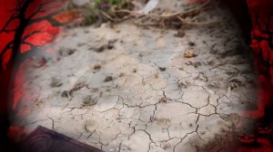 ПРИЗНАКИ КРАДНИКА.МЕХАНИЗМ СНЯТИЯ КРАДНИКА.КАК ЗАВИСТНИКИ ВОРУЮТ ВАШЕ СЧАСТЬЕ? Черная магия.Ведьмы.