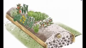 Малоуходная грядка Хольцера на участке без воды. Первый год. Наш опыт