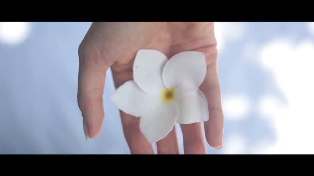 Гонг медитация. Презентационный ролик смотреть онлайн