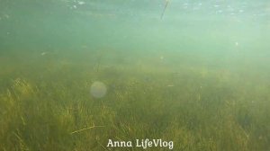 ⛵ ЯСЕНСКАЯ ПЕРЕПРАВА - ШИЛОВКА , МЫ ПУТЕШЕСТВУЕМ ⛵