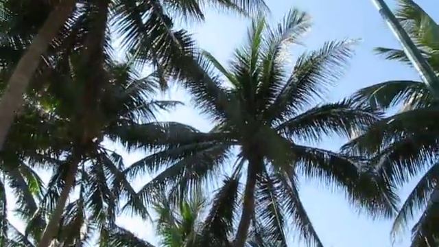 Нячанг, Вьетнам, март 2016 смотреть онлайн