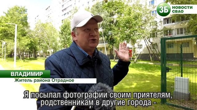 Сквер на улице Декабристов в Отрадном смотреть онлайн