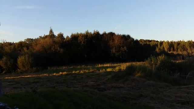 Дом в продаже в Пушкинских горах смотреть онлайн